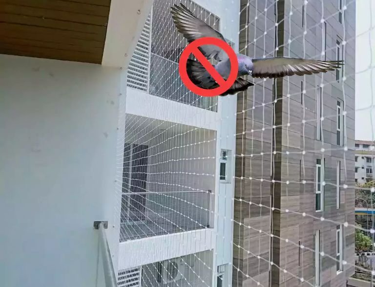 This Leader in Organic Agriculture Growth